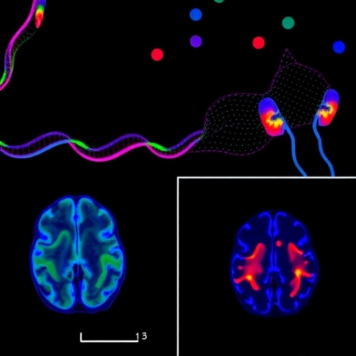 targeting-microglia-to-halt-multiple-sclerosis-progression