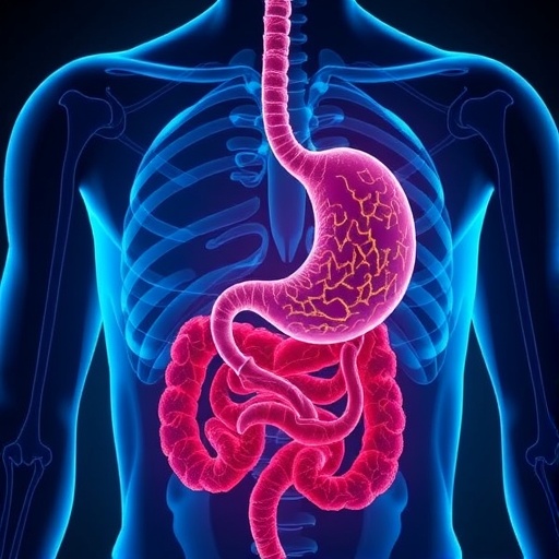 how-wnt-signaling-drives-gastric-cancer-spread