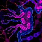 drug-induced-gut-toxicity:-cytoskeleton-damage-uncovered