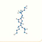 bdnf-and-dodecapeptide-block-toll-like-receptor-4