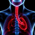 drinkable-gene-therapy-foam-targets-esophageal-cancer