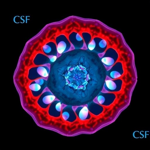 base-barrier-cells:-compartmentalizing-choroid-plexus-and-csf