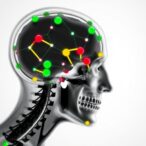 neurofilament,-gfap-linked-to-sarcopenia-in-elderly