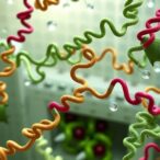 de-novo-design-of-gpcr-exoframe-modulators