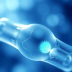 innovative-gel-offers-hope-for-chronic-wound-healing