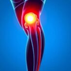 exercise-offers-limited-and-temporary-relief-for-osteoarthritis-symptoms,-study-finds