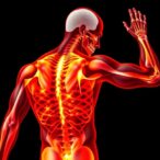 interpretable-ml-detects-low-muscle-mass-in-elders