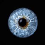 preclinical-eye-disease-biotech-sets-sights-on-$17m-nyse-ipo