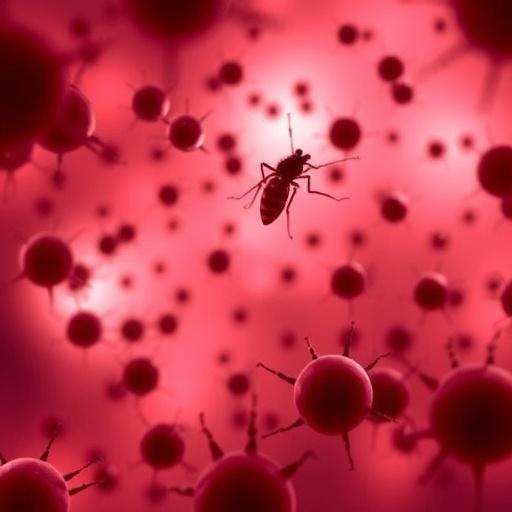 lower-cyclin-d3-in-red-cells-resists-malaria