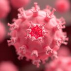 organoids-unveil-exosome-driven-indirect-liver-toxicity