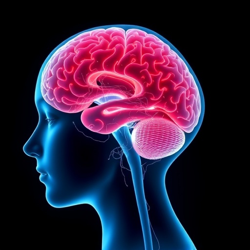 second-pregnancy-alters-women’s-brain-structure,-function