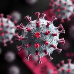 how-hosts-manage-persistent-epstein–barr-virus