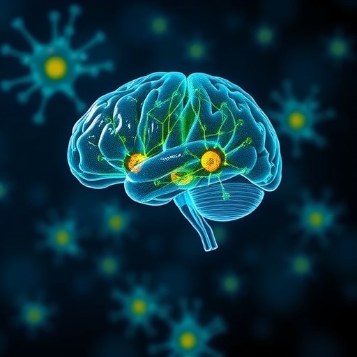 brain-cells-propel-endurance-improvements-following-exercise