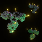 lonza-boosts-advanced-synthesis-capabilities-for-bioconjugates