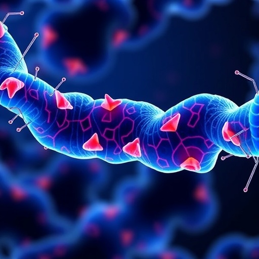 mitochondria-sasp-link-drives-senolytic-therapy-success