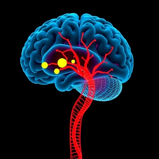 dorsal-tract-development-predicts-cognition,-psychopathology