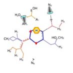 predicting-enantioselectivity-from-limited-data