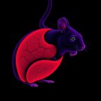 apigenin-eases-obesity-linked-liver-damage-in-rats
