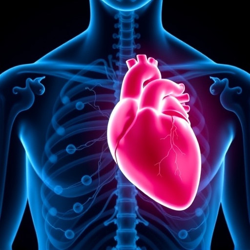 physical-function-key-predictor-of-survival-following-heart-failure,-study-finds