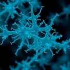 cdi-scientists-unravel-the-evolution-of-antibiotic-resistance-in-acinetobacter-baumannii