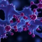 sensitive-cancer-antigen-detection-via-custom-peptide-libraries