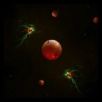 caspase-8-crucial-in-erythrocyte-death-type