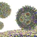 internal-disorder-in-lipid-nanoparticles-may-improve-cargo-delivery-in-cells