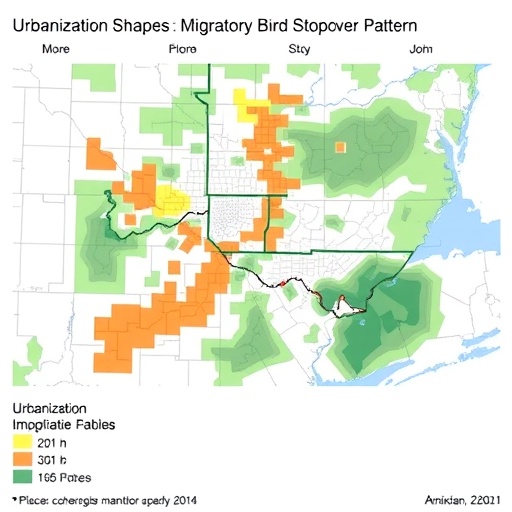 urbanization-shapes-migratory-bird-stopover-patterns