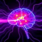 safe-ultrasound-opens-brain-barrier-via-tight-junctions