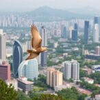legacy-of-uneven-urbanization-shapes-bird-biodiversity