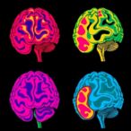 adolescent-depression-subtypes-show-distinct-brain-dynamics