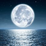 moonlake’s-phase-2-arthritis-win-kicks-off-pivotal-year-for-il-17-nanobody