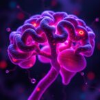 new-neuronal-hypoxia-defense:-hif-1α/stoml2-activates-mitophagy