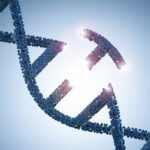 fda-illuminates-new-approval-pathway-for-bespoke-gene-editing-therapies