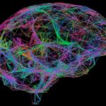 what-the-fda’s-priority-voucher-decision-means-for-psychedelic-drug-development