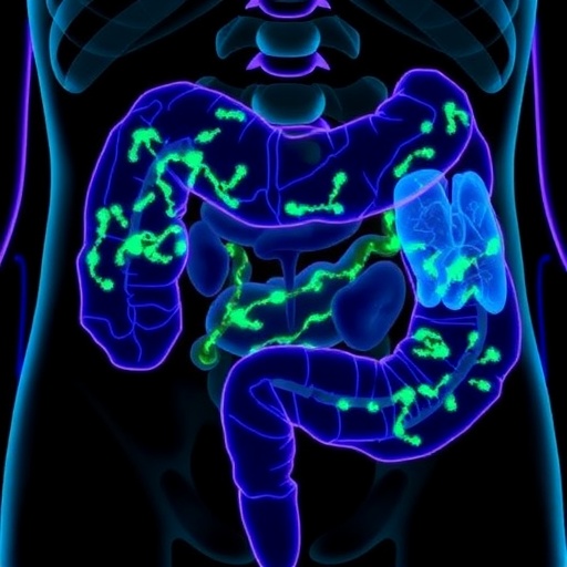 reducing-cpg-methylation-limits-kras-driven-intestinal-tumors