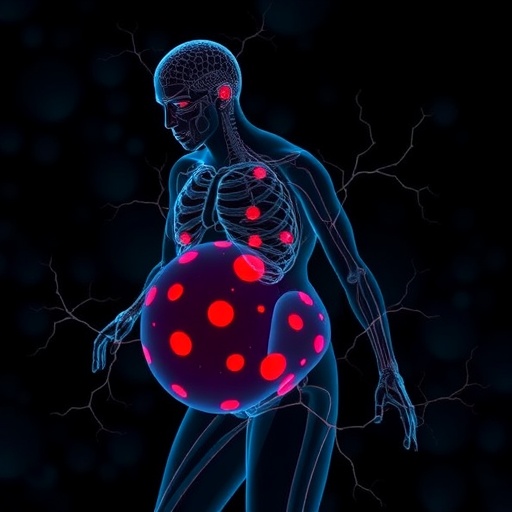paternal-obesity-impairs-offspring-fat-mitochondria-via-let-7-dicer