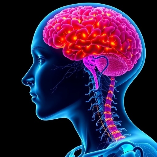 gompertz-model-unifies-primary-and-metastatic-tumor-growth