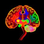 study-links-nsun6-gene-variations-to-neuroblastoma-risk-in-children-from-jiangsu-province