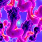 unveiling-new-targets-for-bone-growth-disorders-through-chondrocyte-behavior-insights