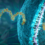 de-risking-rna-therapeutics-with-high-resolution-sequencing