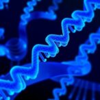 ualbany-scientists-pioneer-innovative-laser-method-to-evaluate-mrna-therapeutics