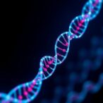 tumor-informed-ctdna-predicts-anal-cancer-outcomes