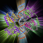 mutant-p53-selective-reactivation-demonstrated-in-advanced-solid-tumors