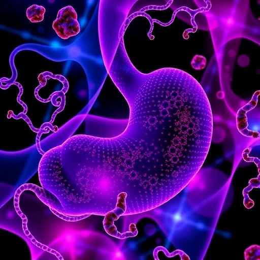 decoding-ferroptosis-in-pancreatic-cancer:-roles-and-insights