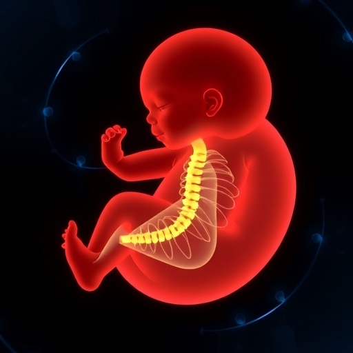 groundbreaking-study-finds-in-utero-stem-cell-therapy-safe-for-fetal-spina-bifida-repair