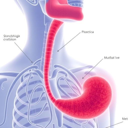 new-combo-therapies-tested-for-advanced-gastroesophageal-cancer