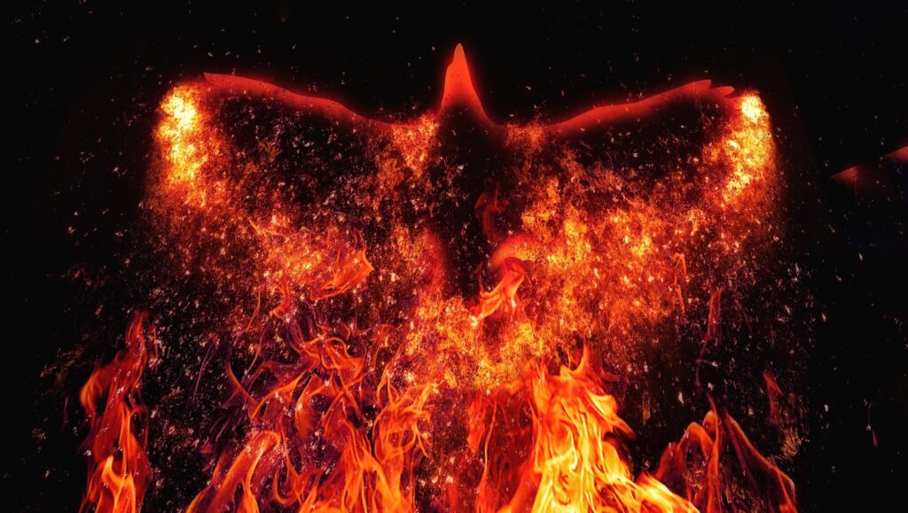 atrium-arises-from-novartis’-avidity-buy-with-$270m,-pair-of-preclinical-cardio-candidates