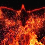 atrium-arises-from-novartis’-avidity-buy-with-$270m,-pair-of-preclinical-cardio-candidates