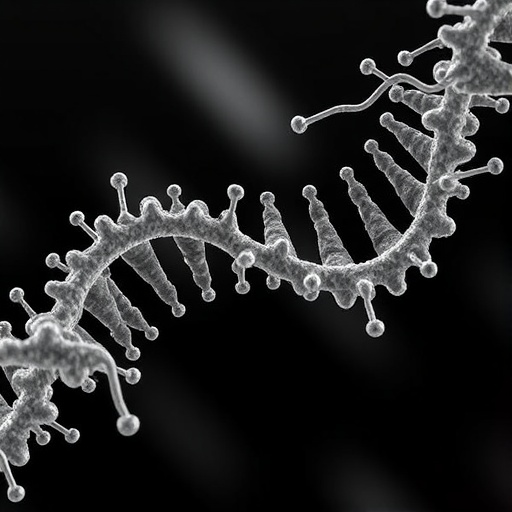 membrane-bound-nuclease-cuts-phage-dna